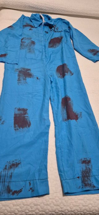 Disfraz de Preso Azul