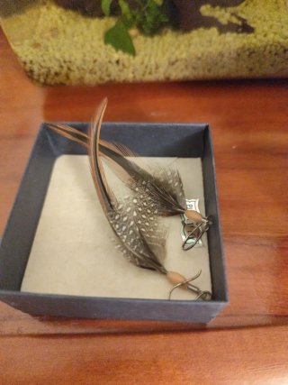 Pendientes de Plumas Naturales