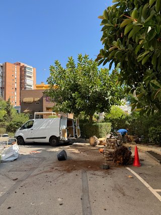 Jardinero