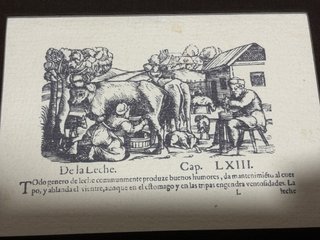 Reproducción de grabado antiguo: Leche y cerdo