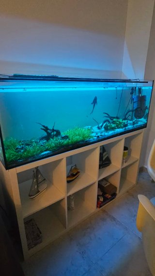 Acuario Rectangular con Mueble Blanco