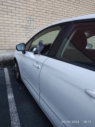 Citroen C4 2016
