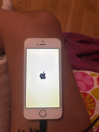 iPhone 5 Bianco
