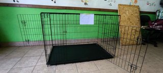 Jaula para perros metálica