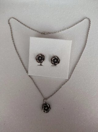Conjunto de Pendientes y Cadena,plata