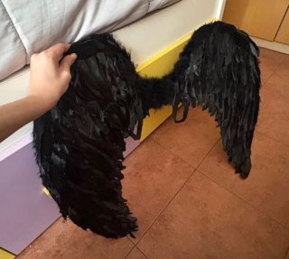 Alas Negras de Plumas