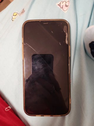 iPhone 12 Pro Max