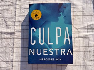 Culpa nuestra