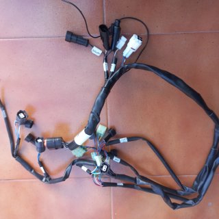 Cableado Rapid bike kawasaki z 750 07-12.