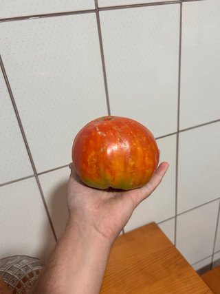 Semillas de Tomate Huevo de Toro Antiguo