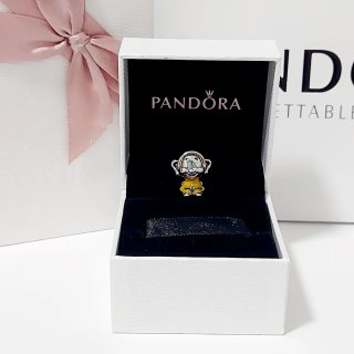 Charm Pandora Disney