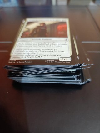 Lote de cartas Magic: The Gathering