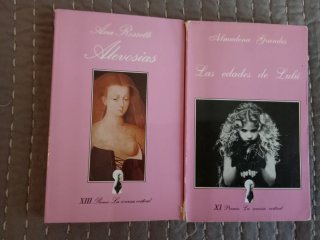 2 libros premiados La sonrisa vertical