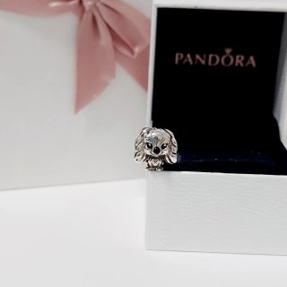 Charm Pandora de Plata