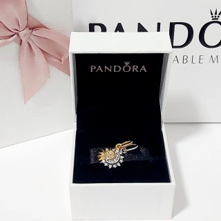 Charms Pandora Sol y Luna