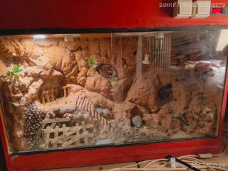 Terrario con decoración interior precio negociable