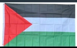 Bandera de Palestina 150x90 cm
