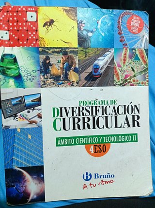 Programa de Diversificación Curricular, Ámbito ...