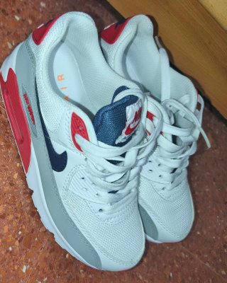 Zapatillas Nike Air Max (Puestas solo una vez)