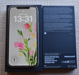 iPhone 12 Pro Max 256GB Argento