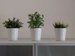 Set de 3 Plantas Artificiales en Maceta