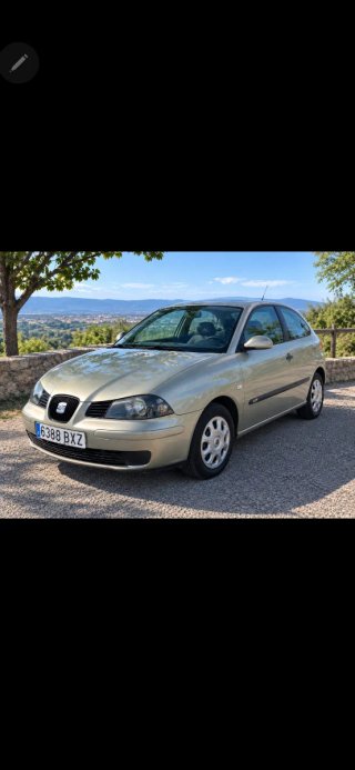 SEAT Ibiza 2002