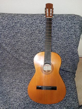 Guitarra Española