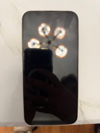 iPhone 15 Pro Max 256 GB - Titanio naturale