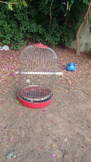 Jaula para pájaros grande
