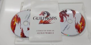 Guild Wars 2 para PC