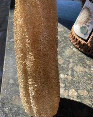 Confezione da 3 spugne di Luffa