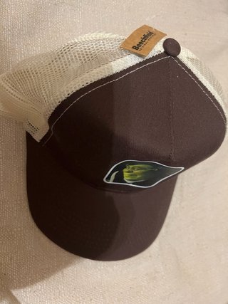 Gorra Beechfield con parche de Shrek