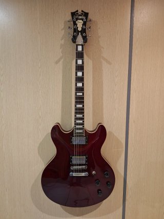 Elegante D'Angelico guitarra eléctrica