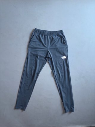 Pantalones deportivos The North Face grises