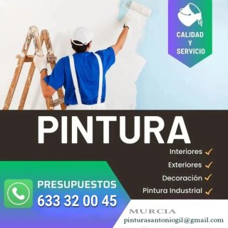 Pintor Económico ( 633 32 00 45 )