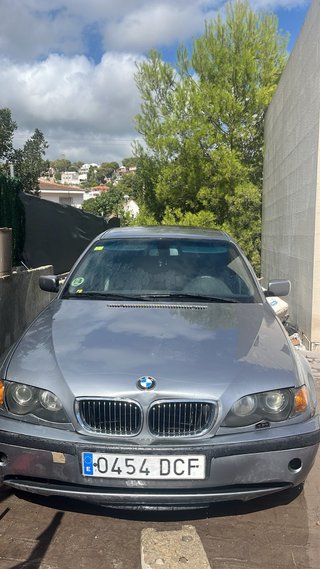 Coche BMW Gris