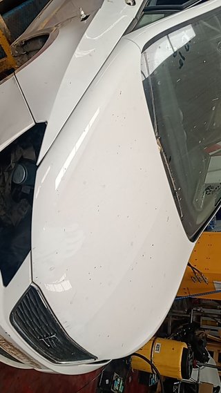 CAPO Seat Ibiza Berlina (6J5)