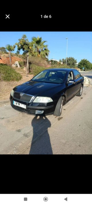 SKODA OCTAVIA 2007 1.9TDI 282.000KM