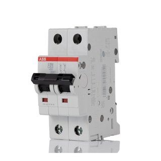 Magnetotérmico ABB S202-C63 2P 63A Curva C
