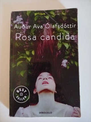 Rosa candida