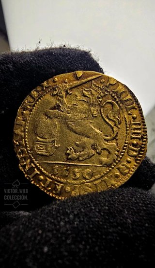 Soberano de Oro