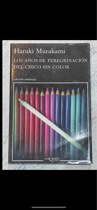 Los años de peregrinacion del chico sin color