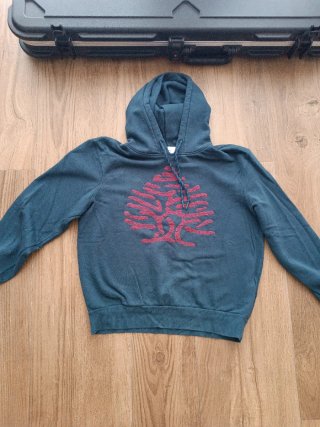 Sudadera con capucha azul verdoso