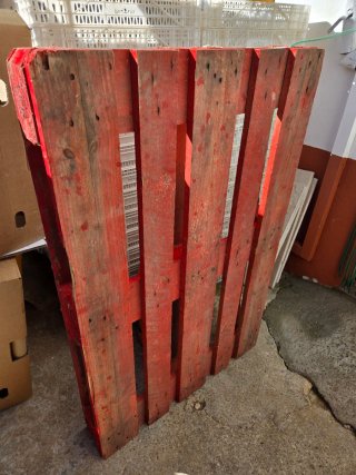 Palets de madera