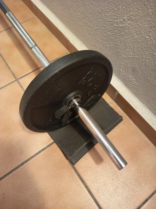 Barra de pesas con 2 discos de 10kg