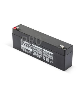 Batteria al piombo ricaricabile 12V