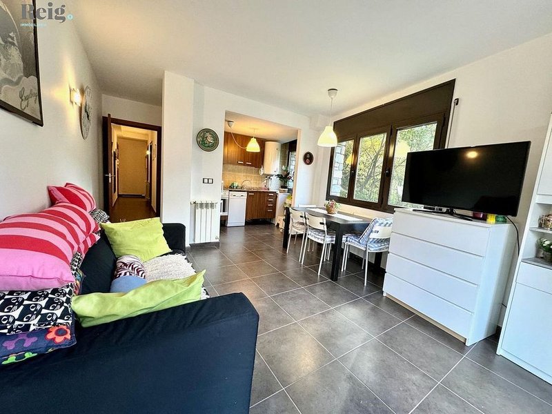 2-bedroom flat for rent in Canillo · 4 of 31