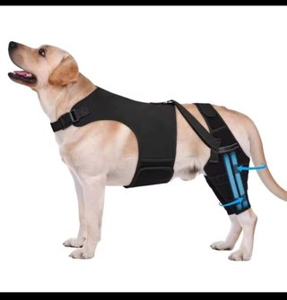 Rodillera Ortopédica para Perros