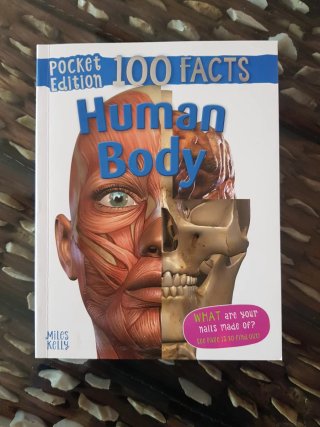 Human body