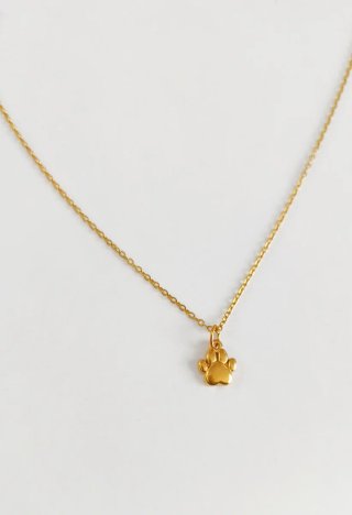 Collar con Colgante de Huella en Acero Dorado